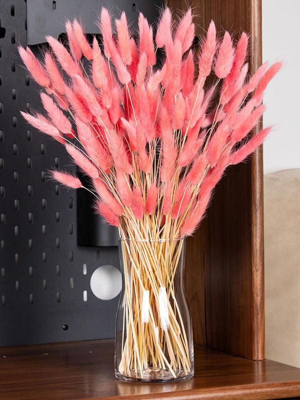 Set of 50 Home Decoration Lagurus Ovatus Rabbit Tail Dried Flowers