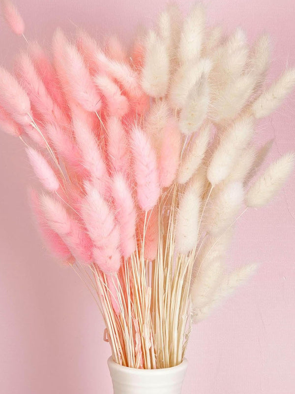 Set of 100 Lagurus Bunny Codes Pampas Grass Decor White Pink Rabbit Artificial Tails