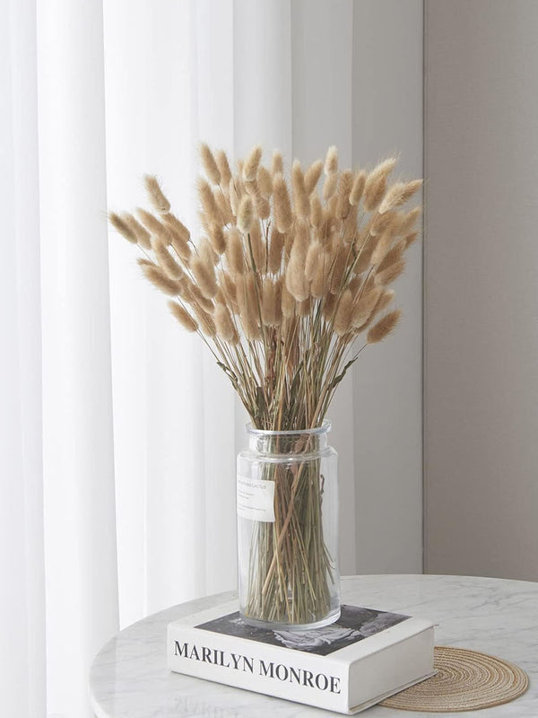 Set of 50 Dried Pampas Grass, Dry Bouquet, Natural Beige Color