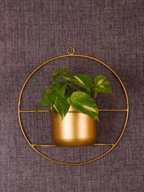 Gold-Toned Solid Metal Wall Mounted Planter