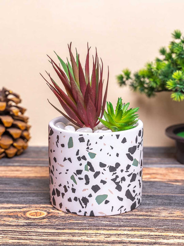 White & Black Decorative Printed Ceramic Planter